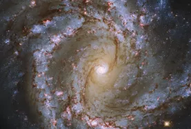 galaxy