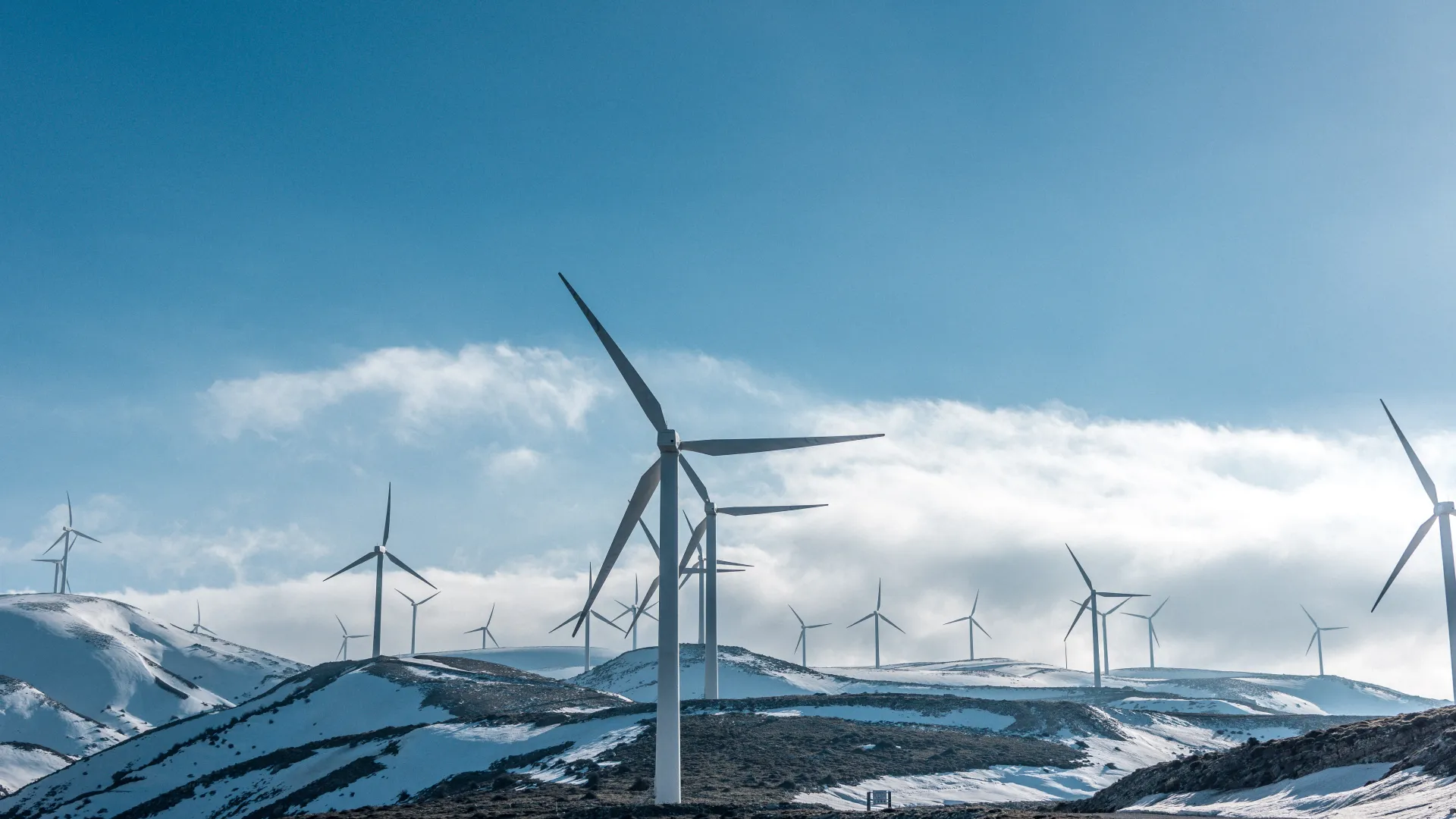 In Austria, we have been committed to the issue of sustainability for more than 20 years now and have received the internationally recognised ISO 14001 certification every year. This confirms that we consistently comply with environmental guidelines and laws and fulfil our ecological responsibility.
