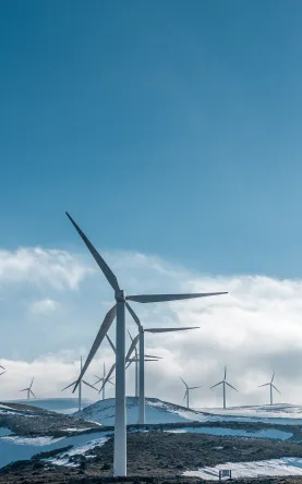 In Austria, we have been committed to the issue of sustainability for more than 20 years now and have received the internationally recognised ISO 14001 certification every year. This confirms that we consistently comply with environmental guidelines and laws and fulfil our ecological responsibility.